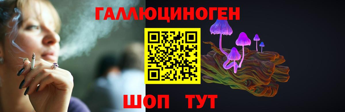 Псилоцибиновые грибы Psilocybine cubensis  Вход с VPN  Благодарный 